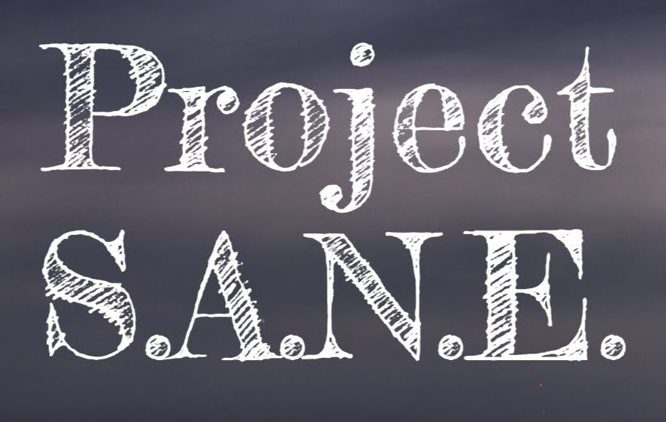 Project S.A.N.E.